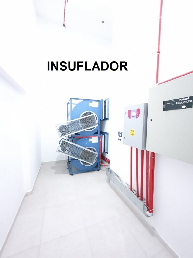 Insuflador